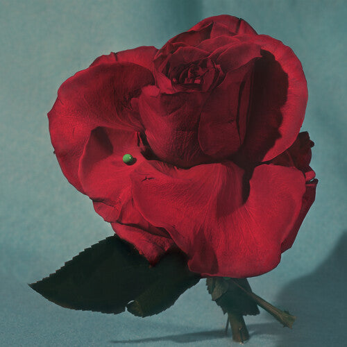 Metz - Up on Gravity Hill (Red Vinyl)