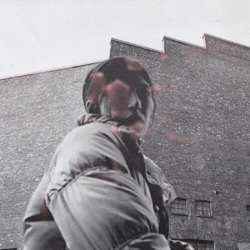 Harding, Aldous - Warm Chris (Vinyl)