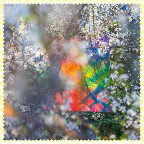 Four Tet - Sixteen Oceans (2LP)