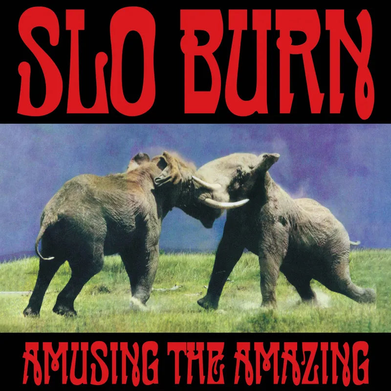 Slo Burn - Amusing The Amazing (LP)