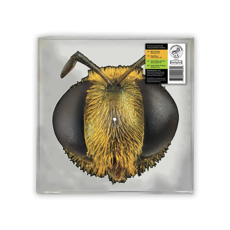 King Gizzard and the Lizard Wizard - Big Fig Wasp (Vinyl)