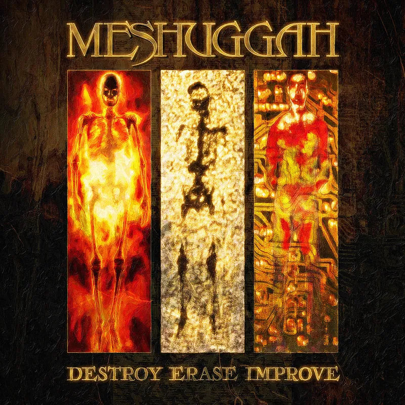 Meshuggah - Destroy Erase Improve (2LP)