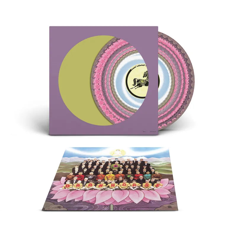 George Harrison - Dark Horse (Zoetrope Picture Disc)