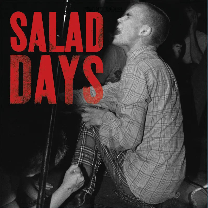 Various Artists - Salad Days: Music From the Documentary Film (Vinyl)