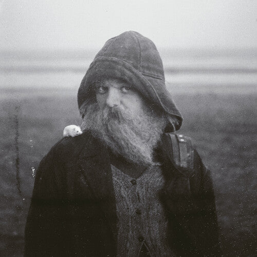 Mary In The Junkyard - Role Model Hermit (Vinyl)