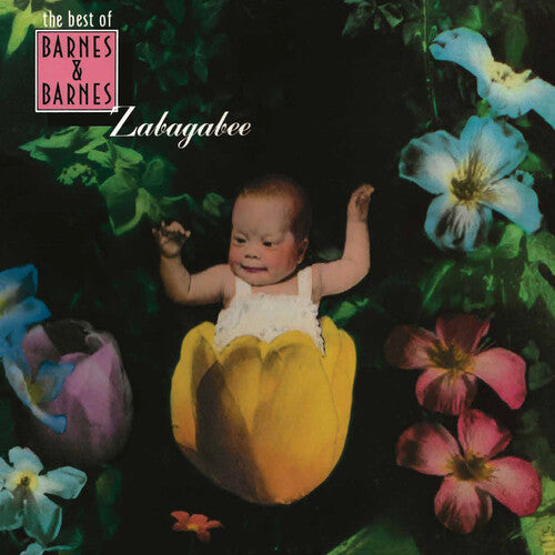 Barnes & Barnes - Zabagabee: The Best Of Barnes & Barnes (Vinyl LP) PRE-ORDER - Out 6/19/26