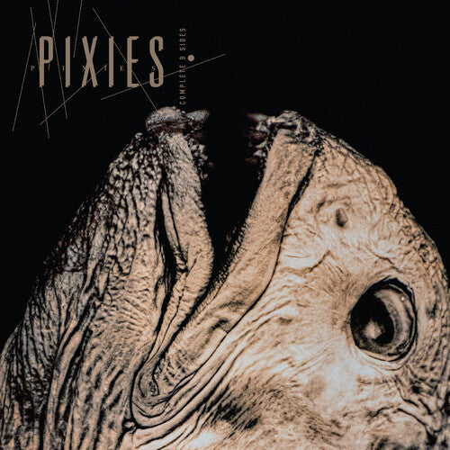Pixies - Complete B-Sides 1988-97 (2LP, Clear Vinyl)