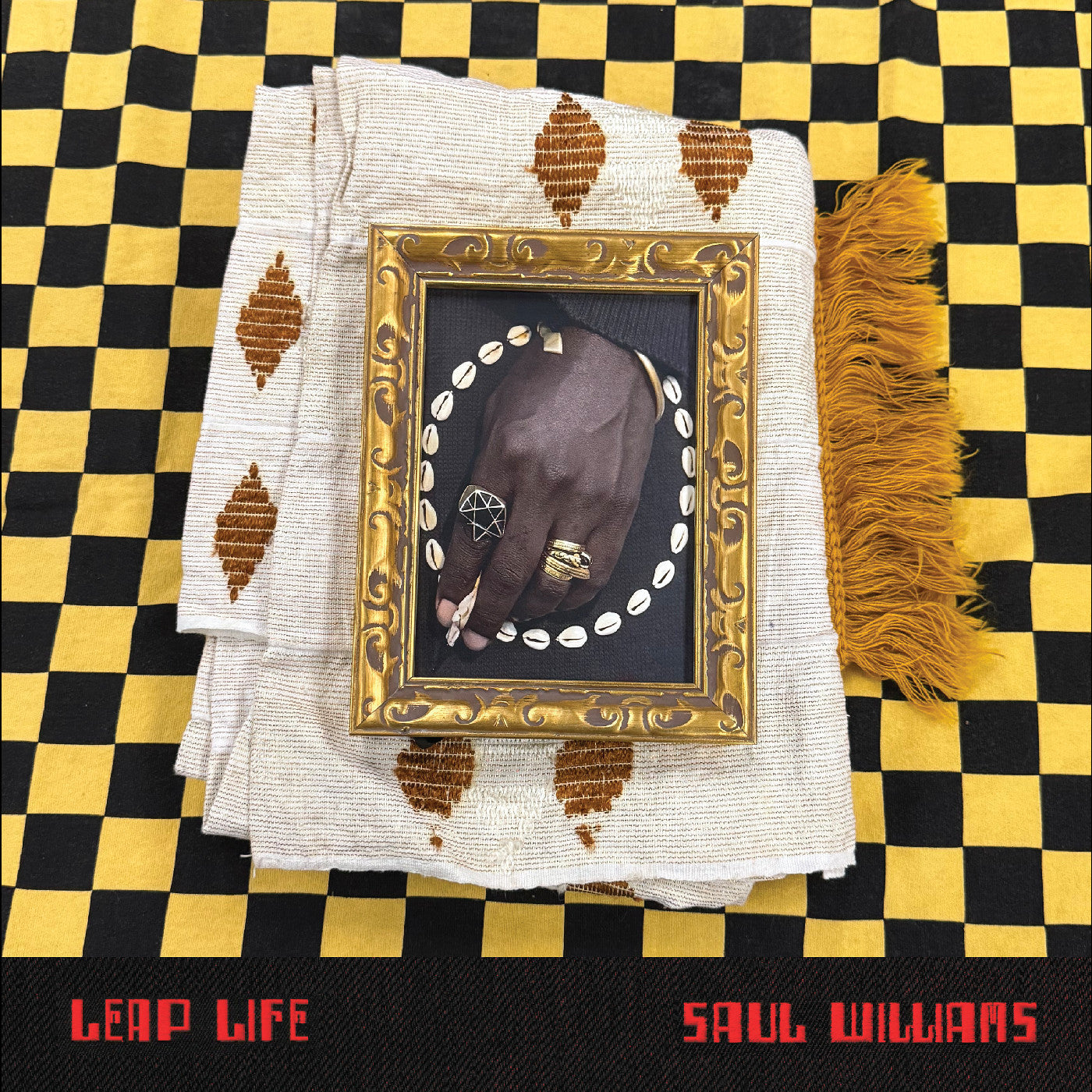Saul Williams - Leap Life (2LP, Vinyl) PRE-ORDER - Out 8/28/26