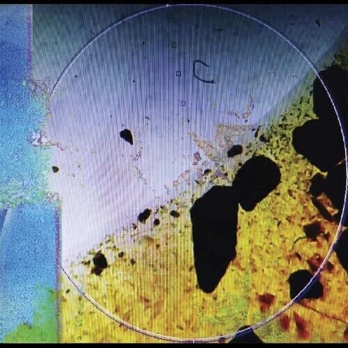 Dreamtx - Living in Memory of Something Sweet (Vinyl)