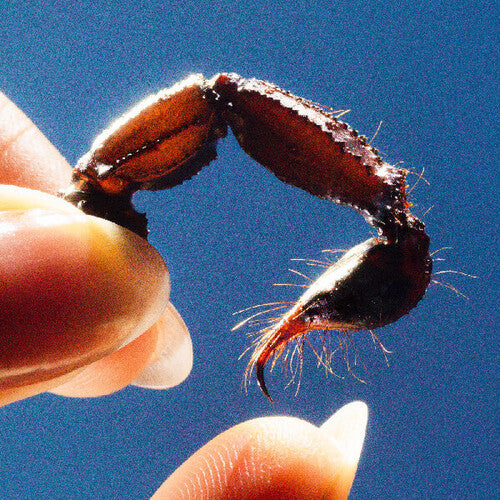 Squid - Cowards (Clear Vinyl)