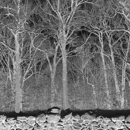 Pile - Sunshine & Balance Beams (Purple Vinyl)