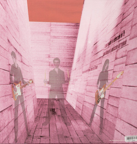 Blonde Redhead - In an Expression of the Inexpressible (Vinyl)