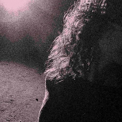 Venturing - Ghostholding (2LP, Orchid Vinyl)