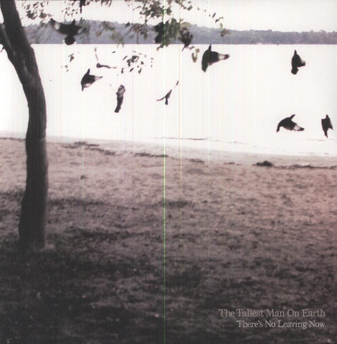 Tallest Man on Earth - There's No Leaving Now (Vinyl)