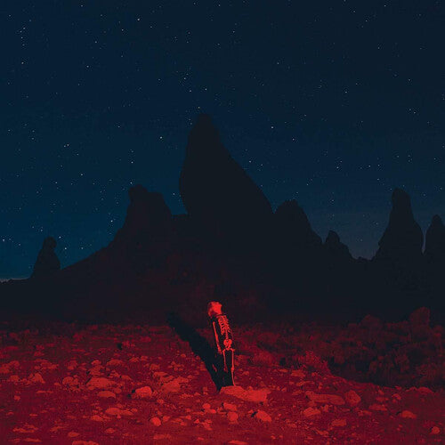 Bridgers, Phoebe - Punisher (Vinyl)