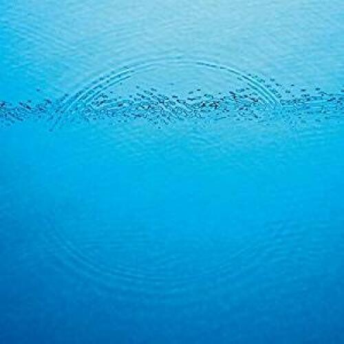 Caribou - Suddenly (Vinyl)