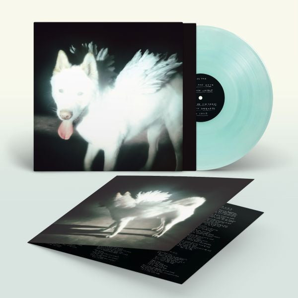 Fat Dog - Cancel Me (I'm Tired) (Coke Bottle Green Vinyl, Domino) PRE-ORDER - Out 8/28/26
