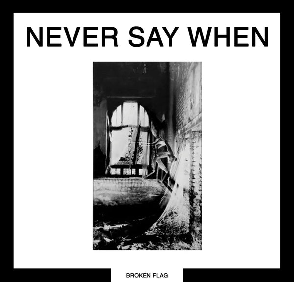 Various Artists - Never Say When (2LP, Vinyl) PRE-ORDER - Out 7/3/26