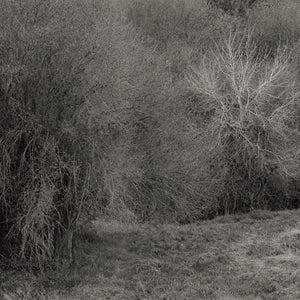 K. Leimer - Atrophies For Piano (Vinyl LP) PRE-ORDER - Out 5/15/26