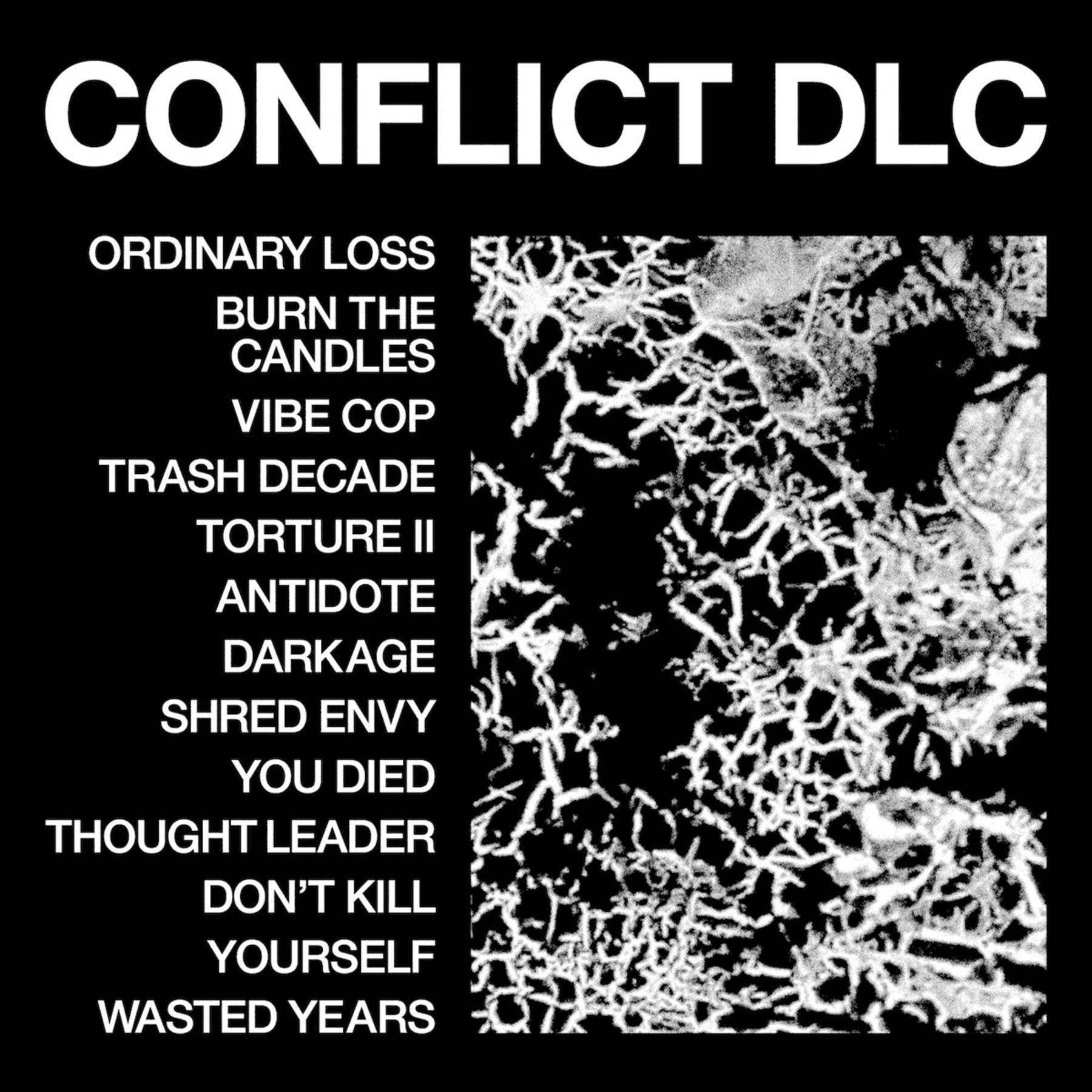 Health - Conflict DLC (Ruby Vinyl)