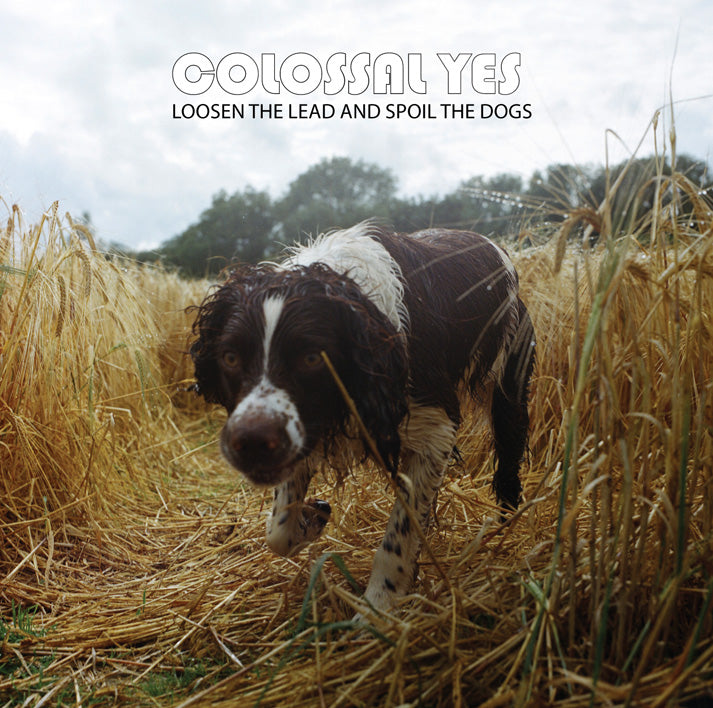 Colossal Yes - Loosen the Lead and Spoil the Dogs (Vinyl/CD)
