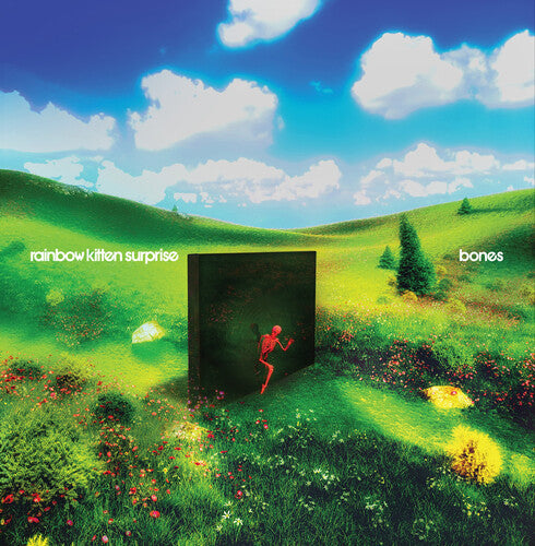 Rainbow Kitten Surprise - bones (Vinyl)