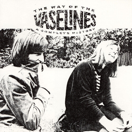 Vaselines - Way of the Vaselines (2LP)