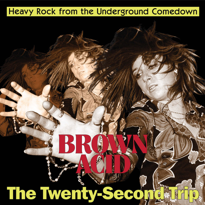 Various Artists - Brown Acid: The Twenty-Second Trip (Vinyl LP) PRE-ORDER - Out 4/24/26