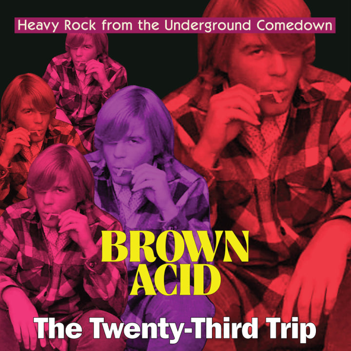 Various Artists - Brown Acid: The Twenty-Third Trip (Vinyl LP) PRE-ORDER - Out 11/27/26