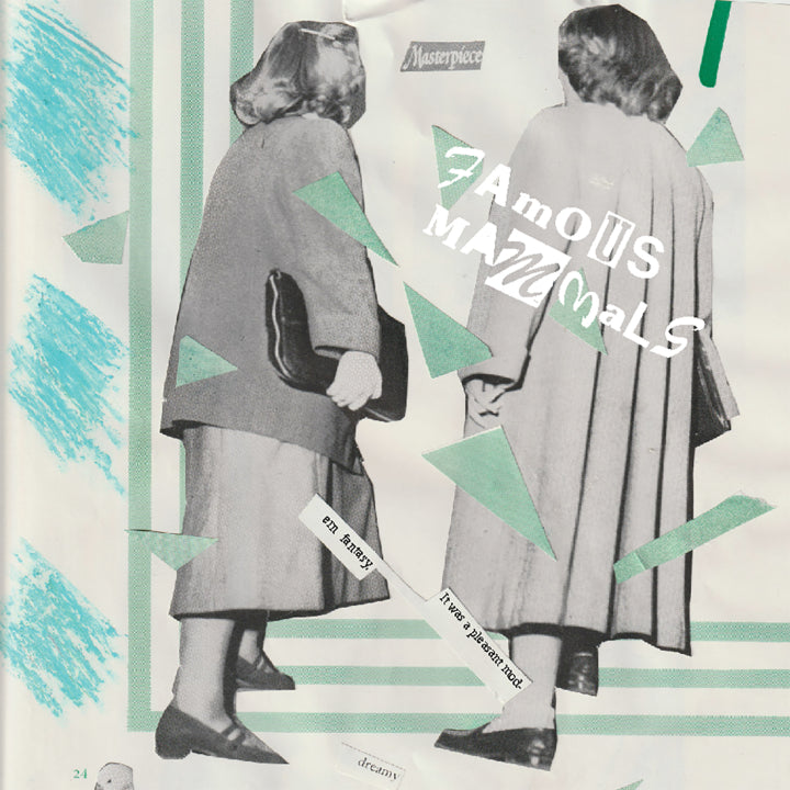 Famous Mammals - It Was A Pleasant Modern Fantasy (Vinyl LP, Siltbreeze) PRE-ORDER - OUt 11/13/26