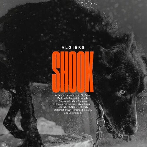 ALGIERS - Shook (2LP)