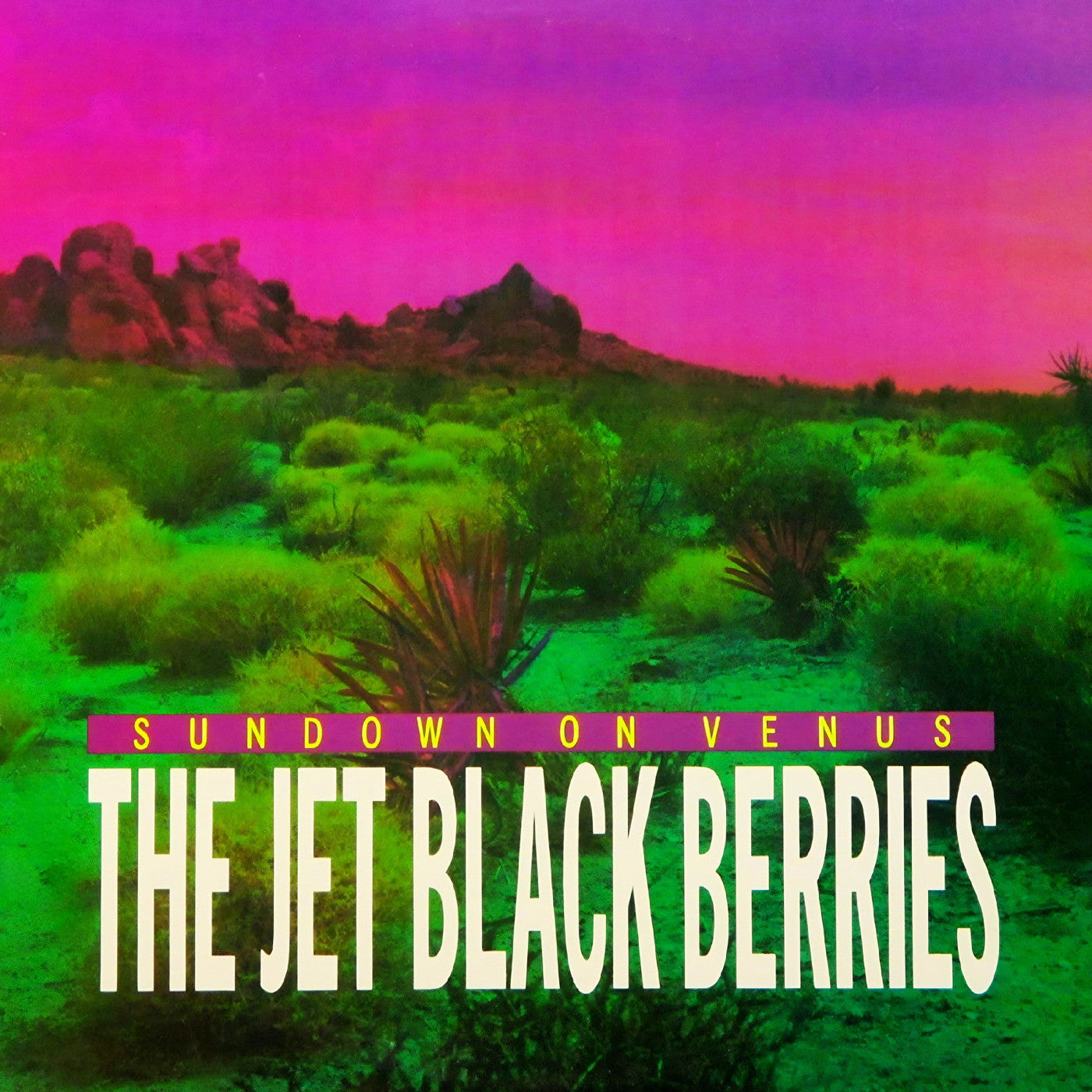 The Jet Black Berries - Sundown on Venus: Definitive Edition (Colored Vinyl) PRE-ORDER - Out 9/2526