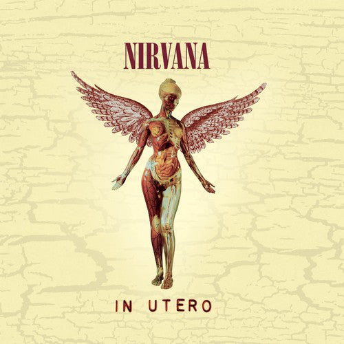 Nirvana - In Utero [20th Anniversary Edition] (CD)