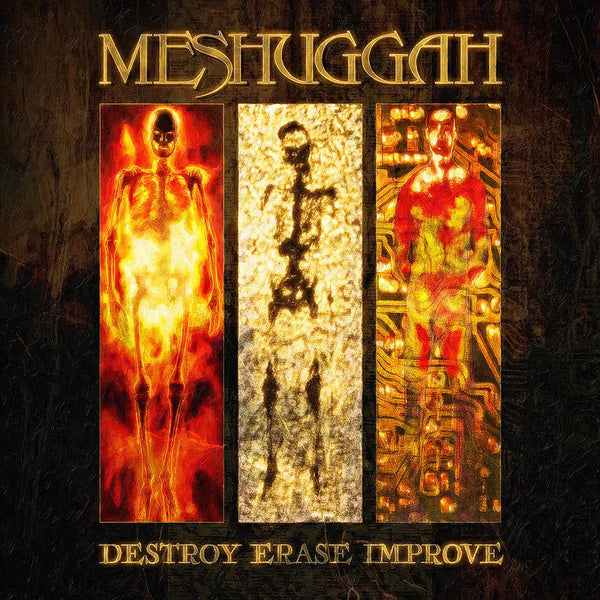 Meshuggah - Destroy Erase Improve (2LP)