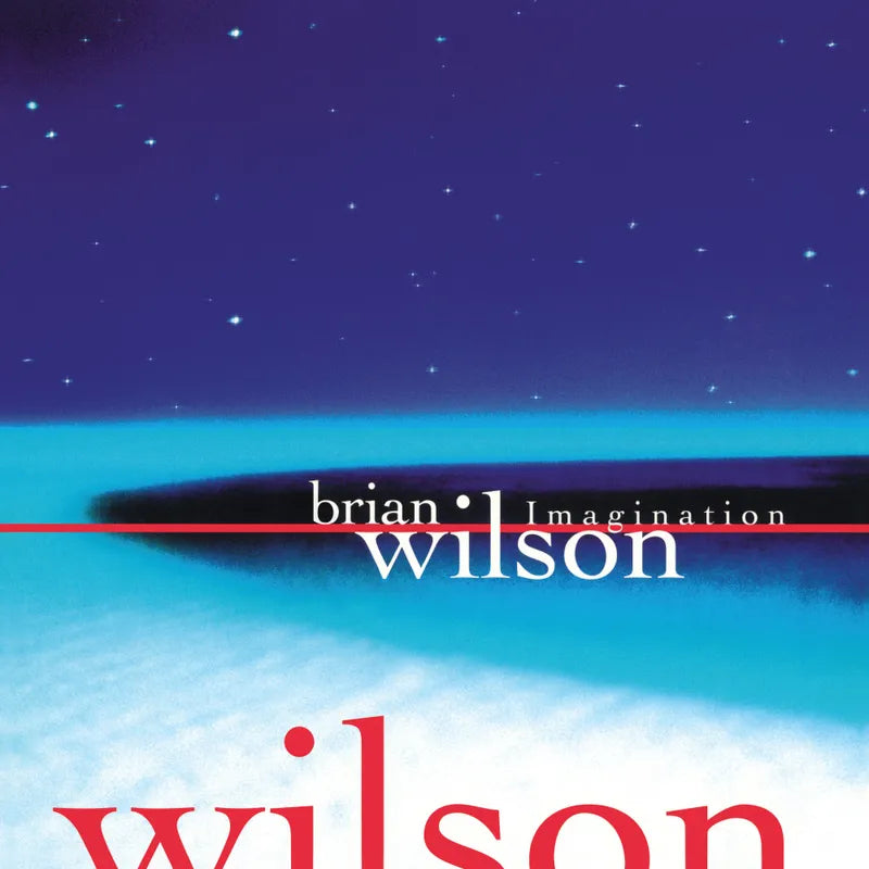 Brian Wilson - Imagination (Vinyl)