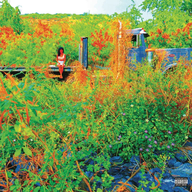 Jhene Aiko - Trip (2LP, Picture Disc)