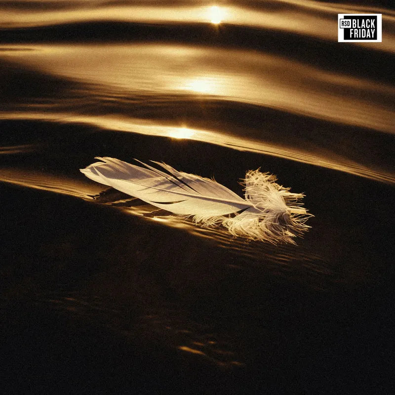 Said The Sky - Icarus & I (Vinyl)