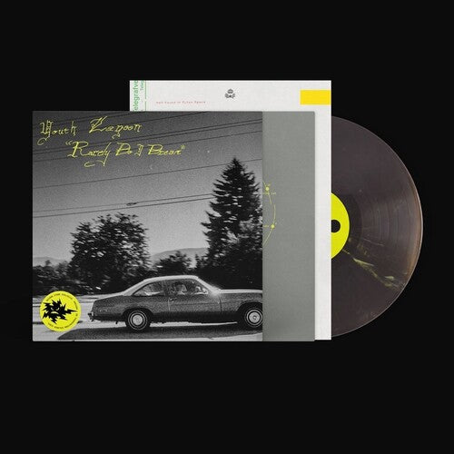 Youth Lagoon - Rarely Do I Dream (Vinyl)