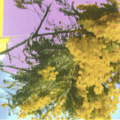 Four Tet - Into Dust (Still Falling) (12" Single) PRE-ORDER - Out 9/5/25