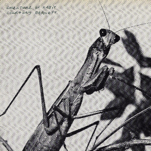 Barnett, Courtney - Creature of Habit (Caramel Vinyl)