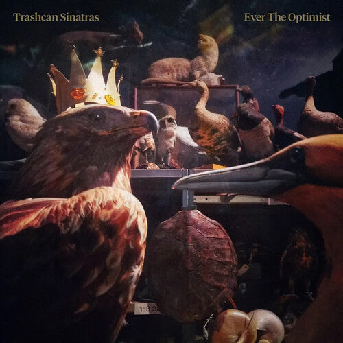 Trashcan Sinatras - Ever the Optimist (Gold Vinyl) PRE-ORDER - Out 7/31/26