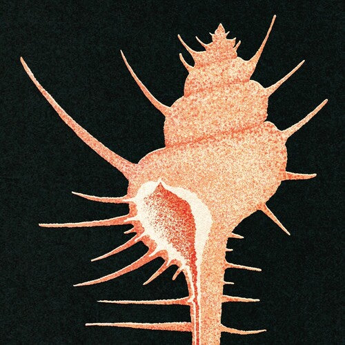Veg - Adrift In Time (Vinyl LP, Jet Set) PRE-ORDER - Out 7/3/26