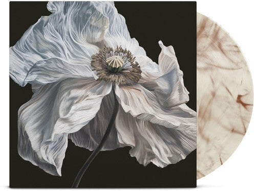 Quicksand - Bring On The Psychics (Coffee Swirl, Vinyl LP) PRE-ORDER - Out 7/17/26