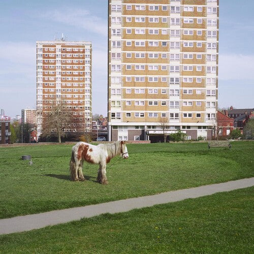 Westside Cowboy - It Goes On (Vinyl)