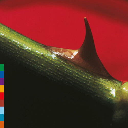 Nusrat Fateh Ali Khan - Night Song: 30th Anniversary (Green Vinyl) PRE-ORDER - Out 10/16/26