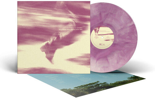 Bees Made Honey in the Vein Tree - In Between Strides (Colored Vinyl) PRE-ORDER - Out 9/18/26