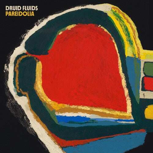 Druid Fluids - Pareidolia (2LP, Opaque Bone Vinyl) PRE-ORDER - Out 11/13/26