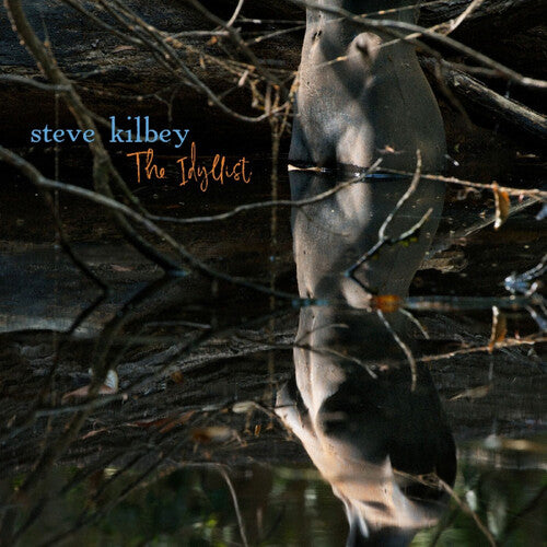 Steve Kilbey (The Church) - Idyllist (Limited Edition CD) PRE-ORDER - Out 11/27/26