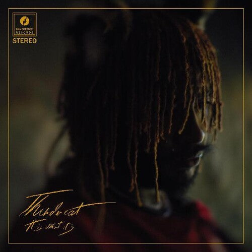 Thundercat - It Is What It Is (Red Vinyl)