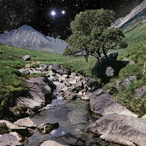 BETA BAND, THE - The Beta Band (Vinyl)